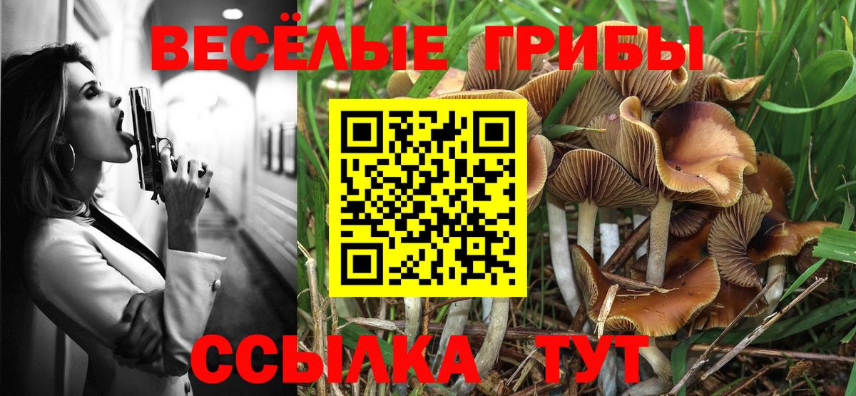 Самара  Галлюциногенные грибы прущие грибы  Вход с VPN 