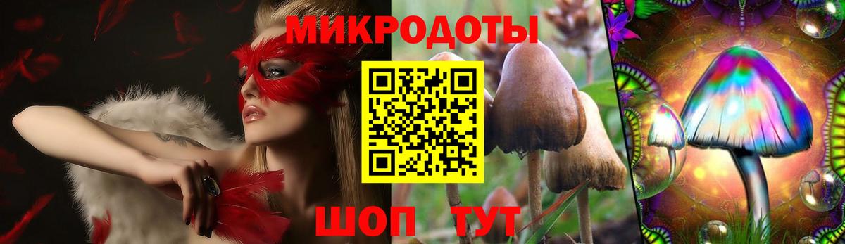 Галлюциногенные грибы Cubensis Самара