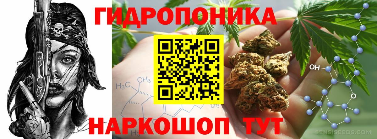 Конопля гибрид Самара